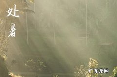 处暑是最后一个伏天吗 处暑是夏季最后一个节气吗