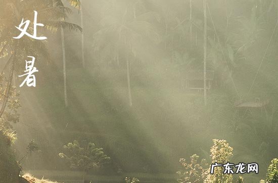 处暑是最后一个伏天吗 处暑是夏季最后一个节气吗