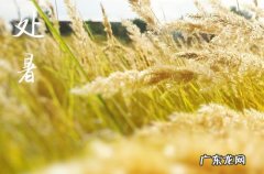 2023年什么时候处暑 处暑是不是一年最热的时候