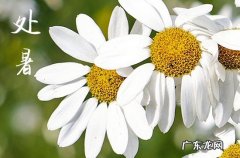 2023处暑天气有什么特点 处暑是最热的时候吗