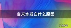 自来水发白什么原因 自来水 发白