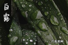 白露今年是什么时候2023