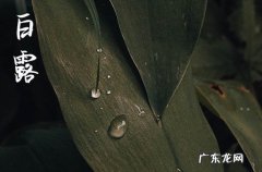 今年什么时候是白露2023