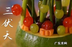 今年什么时候入伏是哪一天2024