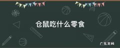 仓鼠吃什么零食最健康 仓鼠吃什么零食