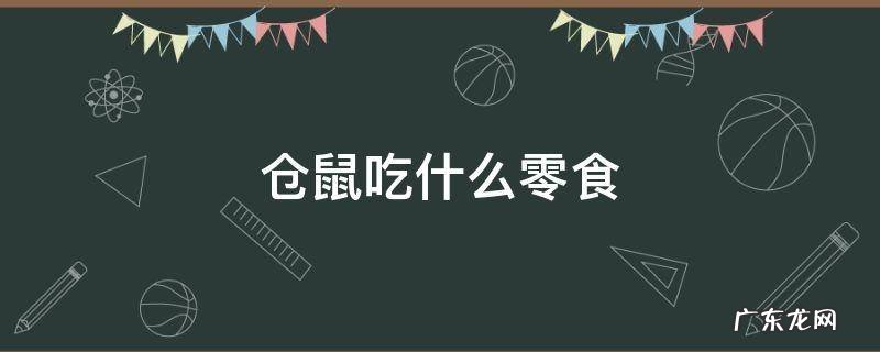 仓鼠吃什么零食最健康 仓鼠吃什么零食