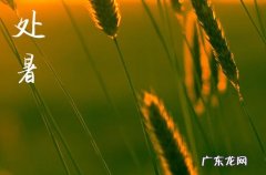 2023年处暑时间几点几分几秒