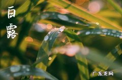 2023年白露是深秋还是初秋