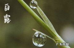 今年的白露时节具体时间2023年