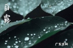 2023年白露今年是几月几日