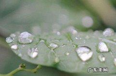 2023年三伏天什么时候结束