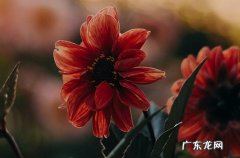 2023年三伏天结束还会热吗