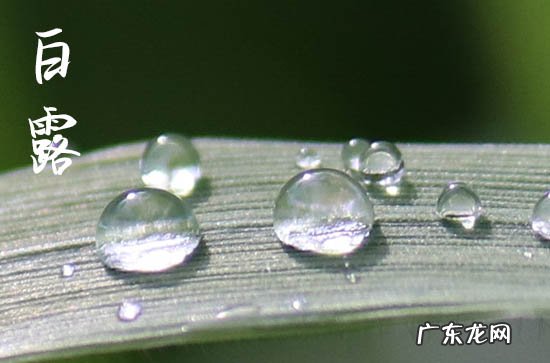 白露节气要下雨吗