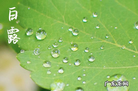 白露节气可以刮痧吗