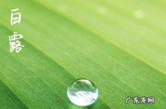 白露养生吃什么