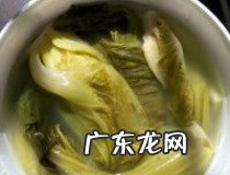 如何自制炭烧酸奶