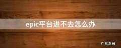 epic平台进不去怎么办 epic平台登不进去