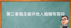 可以起诉第三者破坏婚姻吗 第三者插足破坏他人婚姻有罪吗