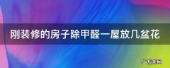 新房装修完除甲醛可以迅速入住吗 刚装修的房子除甲醛一屋放几盆花