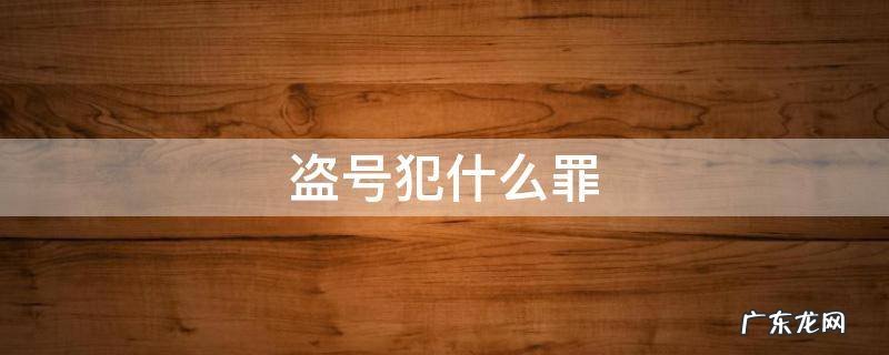 盗号构成什么犯罪 盗号犯什么罪