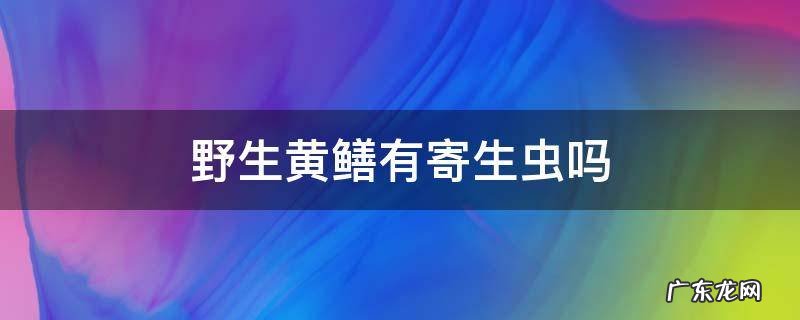 野生黄鳝有寄生虫能吃吗 野生黄鳝有寄生虫吗