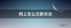 网上怎么交新农合医保 网上怎么交新农合