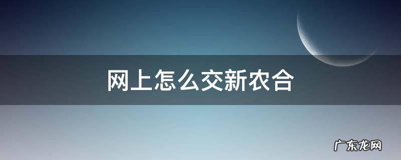 网上怎么交新农合医保 网上怎么交新农合