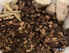 柏子仁怎么读