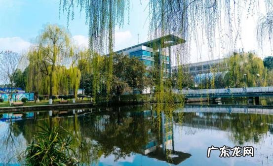 都江堰东软学院学费 成都东软学院学费多少艺术