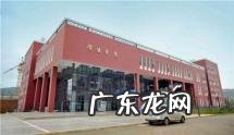 都江堰东软学院学费 成都东软学院学费多少艺术