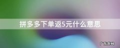 拼多多显示下单后返5元,怎么返 拼多多下单返5元什么意思