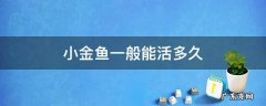 小金鱼一般能活多久 小金鱼能活多久?