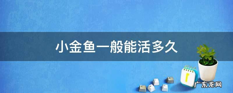 小金鱼一般能活多久 小金鱼能活多久?