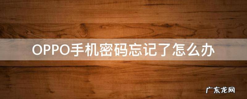 oppo手机密码忘记了怎么办打开 OPPO手机密码忘记了怎么办