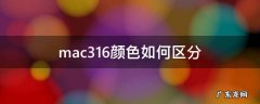 mac316颜色如何区分 mac316是什么颜色