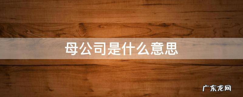 母公司是什么意思 长安汽车母公司是什么意思