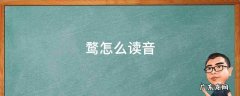 鹜怎么读音 心天旁鹜怎么读音