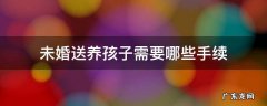 未婚送养孩子需要哪些手续