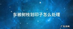 车被树枝划印子怎么处理 汽车之家 车被树枝划印子怎么处理