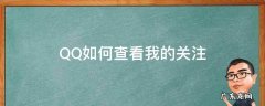 qq哪里看我的关注 QQ如何查看我的关注