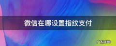 微信在哪设置指纹支付 微信在哪里设置指纹支付
