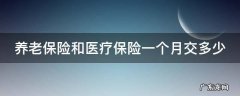 养老保险和医疗保险一个月交多少怎么查 养老保险和医疗保险一个月交多少