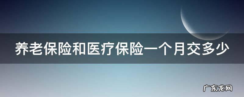 养老保险和医疗保险一个月交多少怎么查 养老保险和医疗保险一个月交多少
