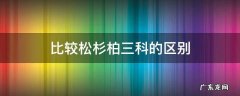 比较松柏杉三科的异同点 比较松杉柏三科的区别