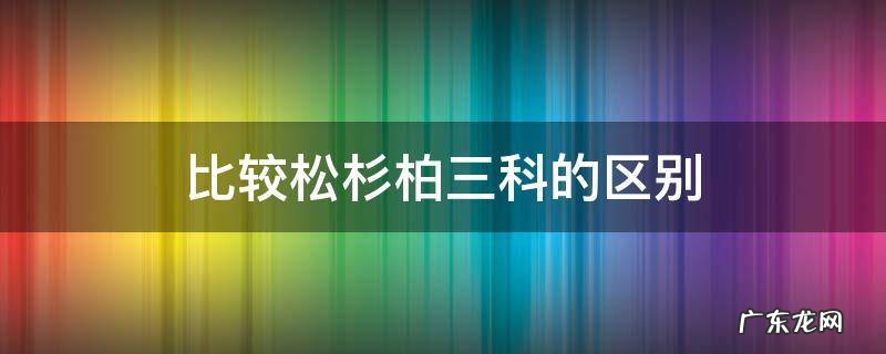 比较松柏杉三科的异同点 比较松杉柏三科的区别