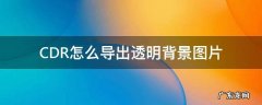 cdr怎么导入透明背景图片 CDR怎么导出透明背景图片