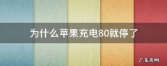 苹果电池为什么充到80就停了 为什么苹果充电80就停了
