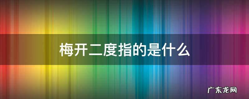 梅开二度指的是什么生肖 梅开二度指的是什么