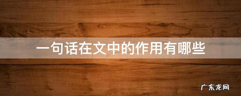 一句话在文中的作用有哪些四年级 一句话在文中的作用有哪些