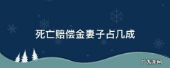 死亡赔偿金妻子占几成 车祸死亡赔偿金妻子占几成